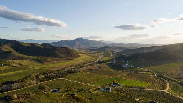 Cape Dreams vine stammer fra den verdensberømte Robertson Valley.